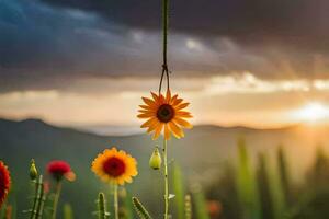 girasol en el campo. generado por ai foto