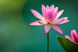 pink lotus flower blooming in the water. AI-Generated photo