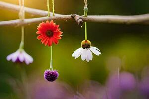 foto fondo de pantalla el cielo, flores, el sol, el flores, el sol, el flores. generado por ai