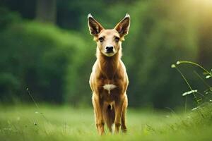 a brown dog standing in the grass. AI-Generated photo