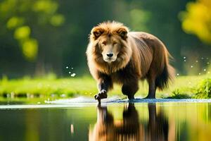 un león caminando a través de un estanque en el césped. generado por ai foto