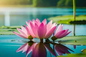 rosado loto flores en el agua con verde hojas. generado por ai foto