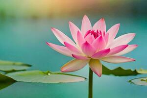 pink lotus flower in the water. AI-Generated photo