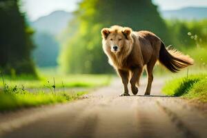 un león caminando en un la carretera en el medio de un campo. generado por ai foto