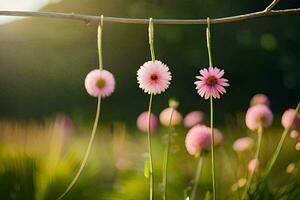 rosado flores colgando desde un rama en un campo. generado por ai foto