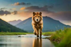 un lobo corriendo a través de un río en el montañas. generado por ai foto