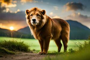a lion standing in the middle of a field. AI-Generated photo