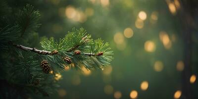 Pine twig bokeh background. Christmas and New Year celebration. Place for your text. AI generative photo
