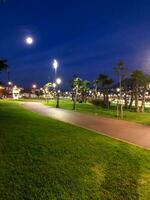 belleza de el césped y el ligero en un público parque a noche foto