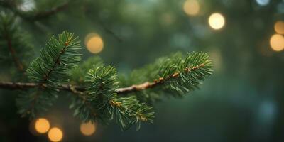 Pine twig bokeh background. Christmas and New Year celebration. Place for your text. AI generative photo
