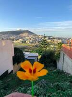 Mañana caminar mediante el urbano paisaje foto