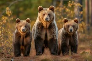 gratis Alaska península marrón oso mamá oso o costero marrón oso generativo ai foto