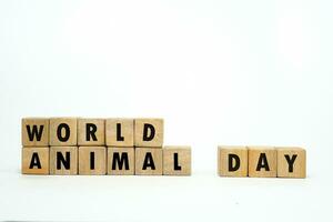 world animal day text on a wooden cube block shape with white background, october 4th photo