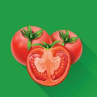 few tomatoes on green vector