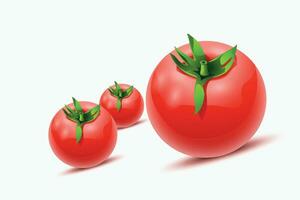 tomatos with shadows vector