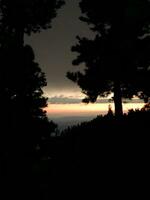 Sunsets and the gloomy splendor of the enchanting night are revealed from among the trees photo