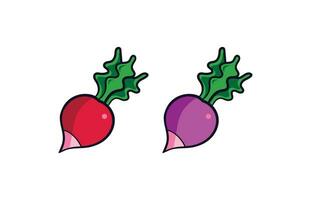 radish vegetable vector