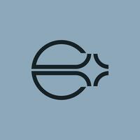 elegant initial letter E star logo vector