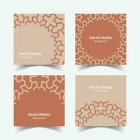 abstract ornamental pattern square background social media template vector