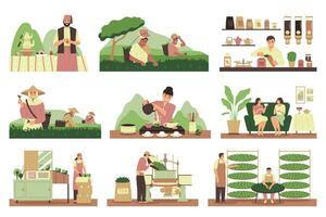 Tea Production Set vector