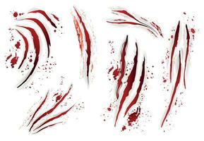 Animal Claw Scratches Set vector