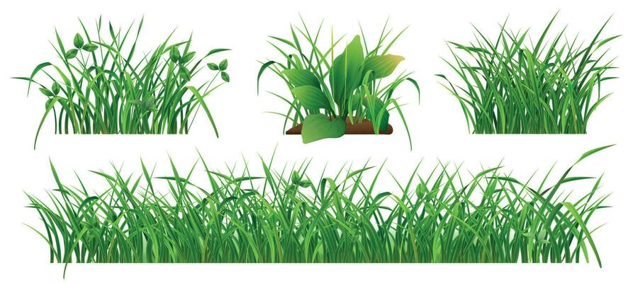 Bushes Of Fresh Green Grass Realistic Set