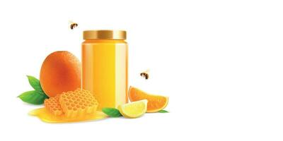 Honey Citrus Comb Composition vector