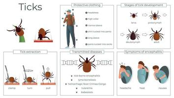 garrapatas insecto plano infografia vector