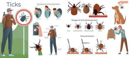 Ticks Insect Flat Compositions vector