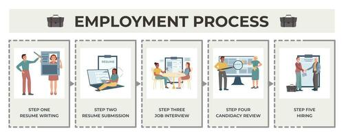 Flat Employment Process Infographic vector