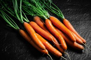 Fresh bunch of carrots . photo