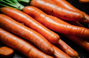 Fresh bunch of carrots . photo