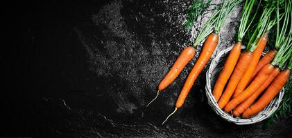 Fresh carrots in basket. photo