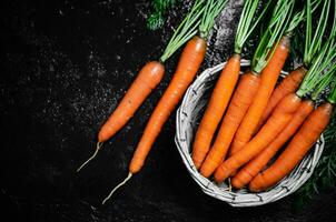 Fresh carrots in basket. photo
