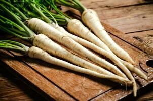 Fresh parsley root . photo