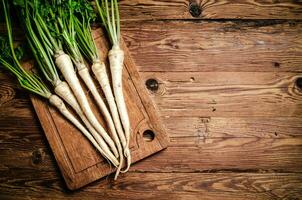 Fresh parsley root . photo