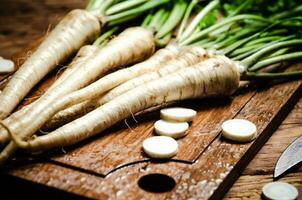 Fresh parsley root . photo