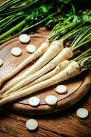 Fresh parsley root . photo