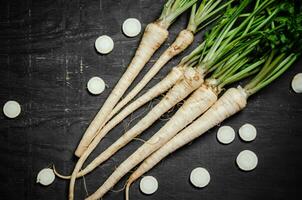 Fresh parsley root . photo