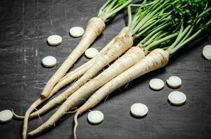 Fresh parsley root . photo