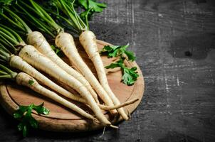 Fresh parsley root . photo