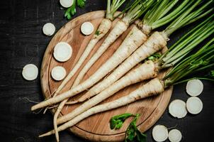 Fresh parsley root . photo