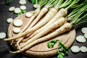 Fresh parsley root . photo