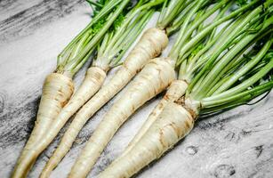 Fresh parsley root . photo