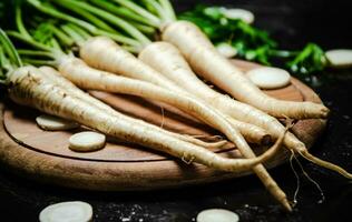 Fresh parsley root . photo