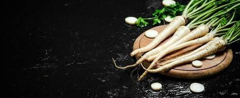 Fresh parsley root . photo