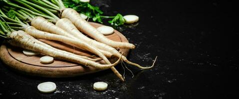 Fresh parsley root . photo