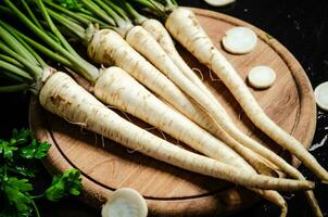 Fresh parsley root . photo