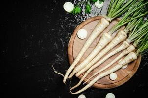 Fresh parsley root . photo