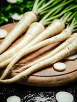 Fresh parsley root . photo